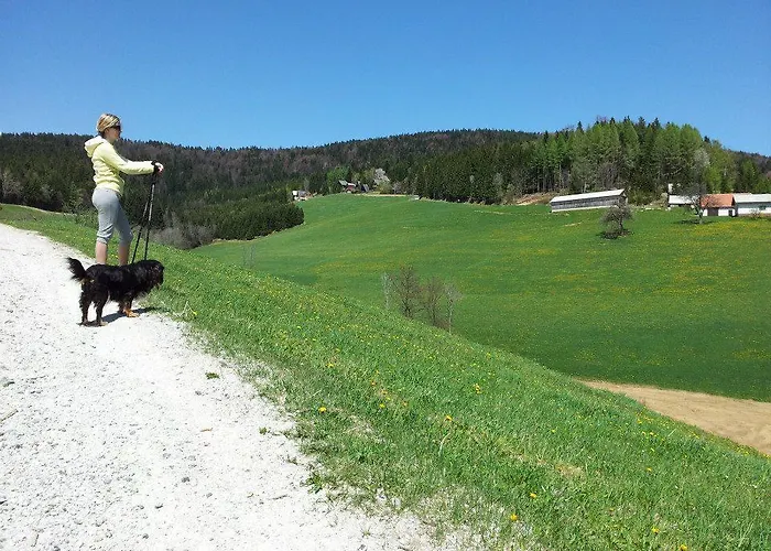 Holiday home Tone Frajhajm