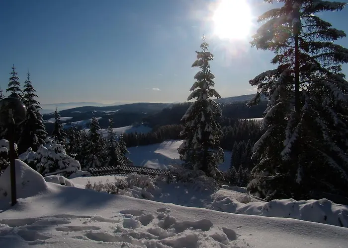 Holiday home Tone Frajhajm